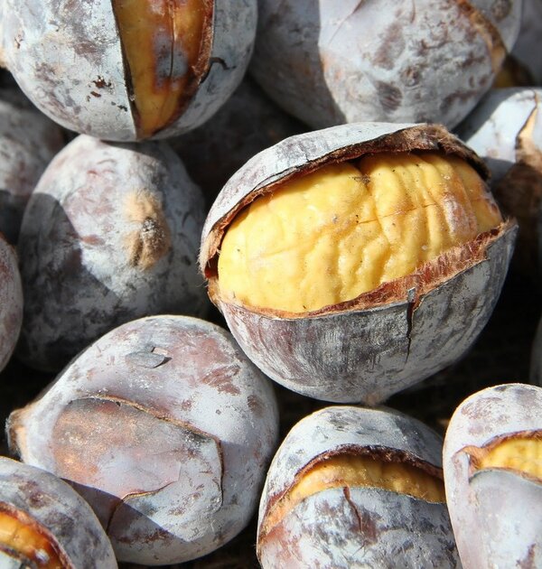 castanhasteste